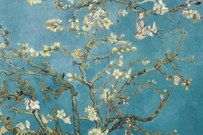Van Gogh Museum Private Guided 3h Tour & Ticket Entry