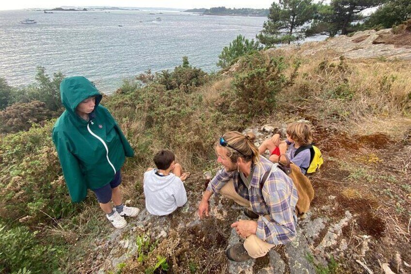 Kids, have you seen that little plant?