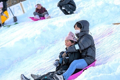 Snow Fun and First Ski or Snowboard at Hokkaido F VILLAGE