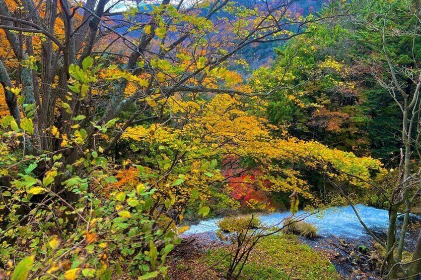 Two Days Nikko Cycling Tour guided by a Local Monk