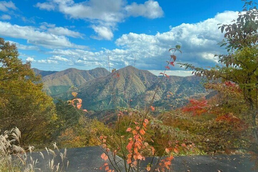 Two Days Nikko Cycling Tour guided by a Local Monk