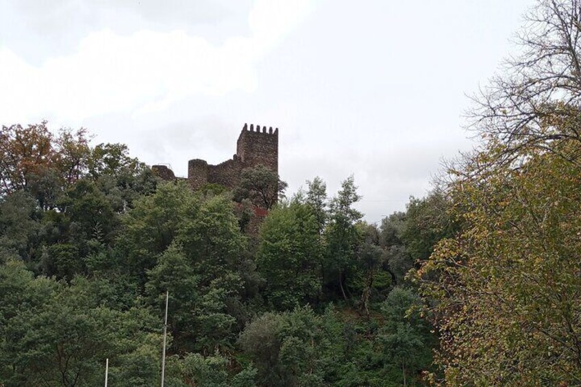 Coimbra Medieval Castles Guided Tour