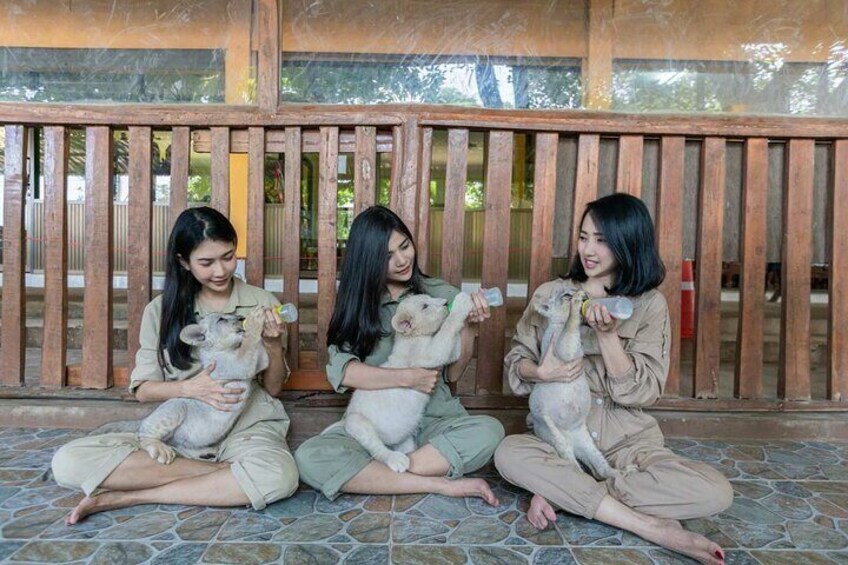 Kanchanaburi Day Tour from Bangkok Safari Park, River | Thailand