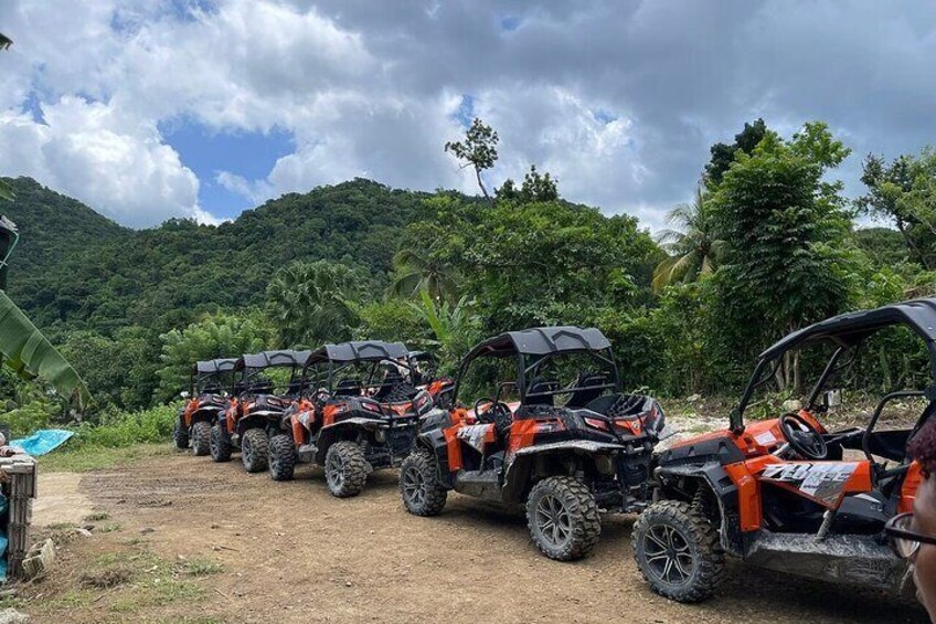 Private Rasta Safari Cultural UTV Village Experience