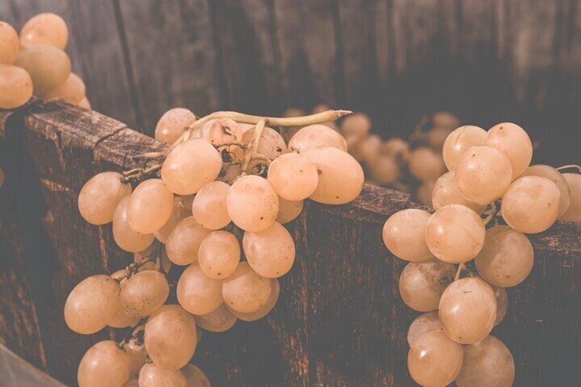 Afternoon of Grape Stomping and Wine Tasting in the Countryside