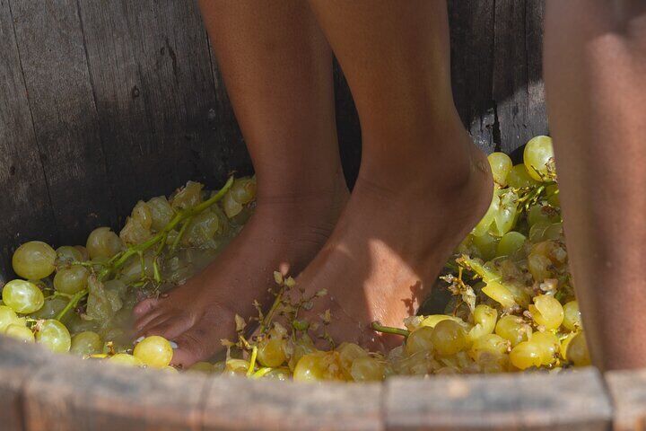 Tuscan Grape Stomping and Wine Tasting Adventure in Chianti