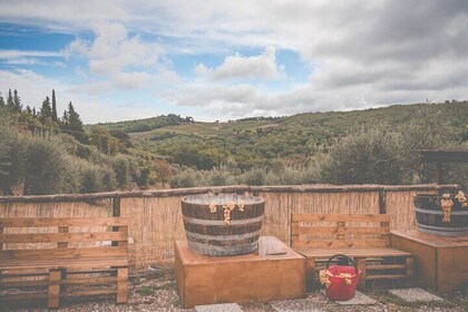 Afternoon of Grape Stomping and Wine Tasting in the Countryside