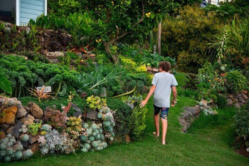 Pueo Farm Private Tour - Upcountry Maui Hawaii