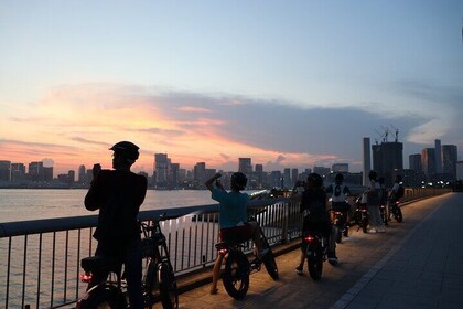 Tokyo Bay Sunset and Night View for 3h E-bike Guided Tour