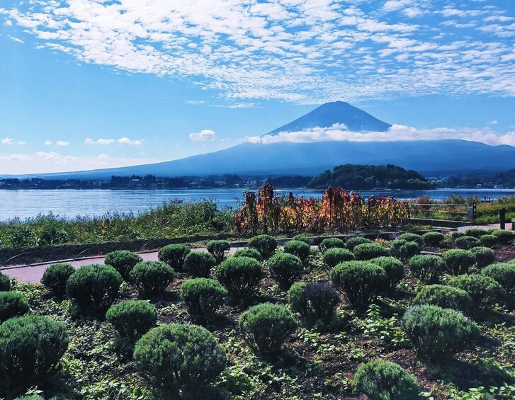 Tokyo: Mt. Fuji and Lake Kawaguchi 3-Row Luxury Bus 1-Day Tour w/ Kobe Beef