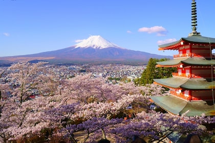 Tokyo: Mt. Fuji and Lake Kawaguchi 3-Row Luxury Bus 1-Day Tour w/ Kobe Beef