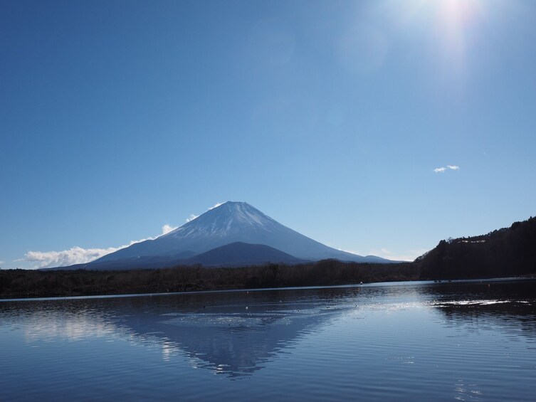 Tokyo: Mt. Fuji and Lake Kawaguchi 3-Row Luxury Bus 1-Day Tour w/ Kobe Beef