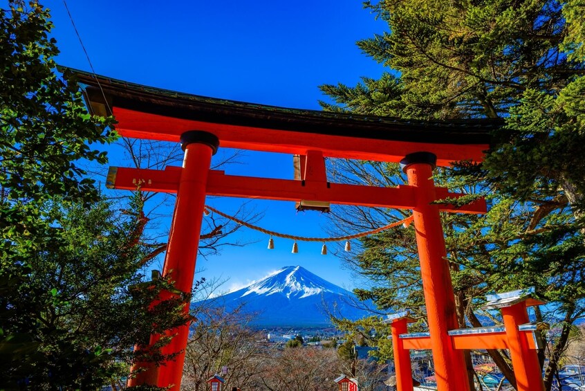 Tokyo: Mount Fuji & Lake Kawaguchi 3-Row Luxury Bus 1-Day Tour w/ Kobe Beef