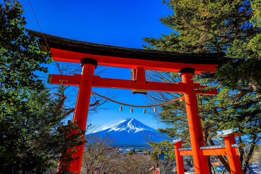 Tokyo: Mount Fuji & Lake Kawaguchi 3-Row Luxury Bus 1-Day Tour w/ Kobe Beef