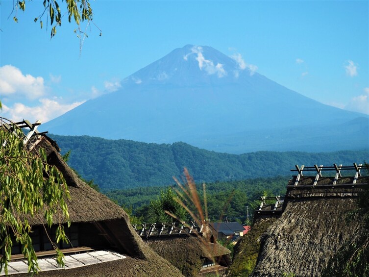 Tokyo: Mt. Fuji and Lake Kawaguchi 3-Row Luxury Bus 1-Day Tour w/ Kobe Beef
