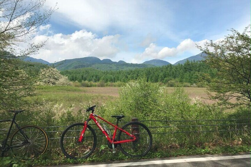 Guided Cycling Tour with a Local Monk