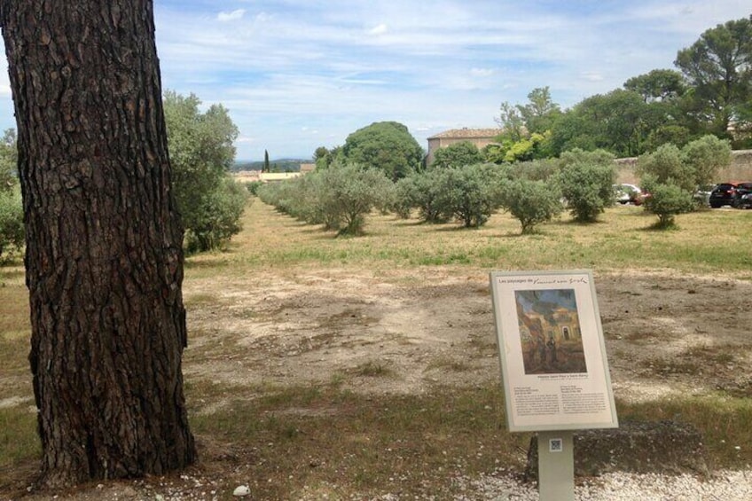 Saint Remy de Provence