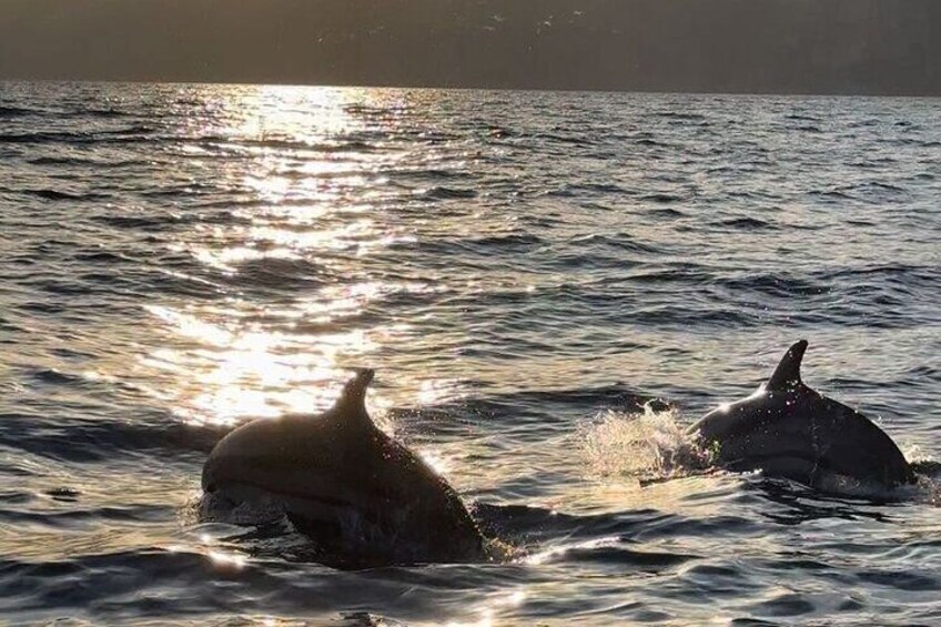 Sunset tour Amalfi to Positano