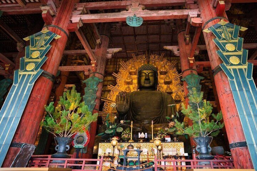 Kyoto & Nara & Uji: Full-Day Sightseeing Tour from Osaka or Kyoto