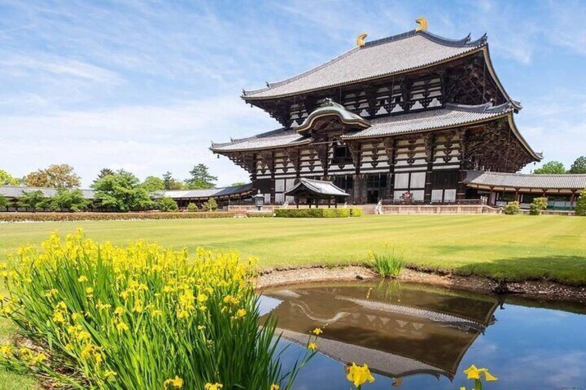 Kyoto & Nara & Uji: Full-Day Sightseeing Tour from Osaka or Kyoto