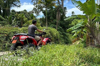 Samui quad bike Quad Tour with Scenic Lunch (PRIVATE GROUP 3 or 4 hour)