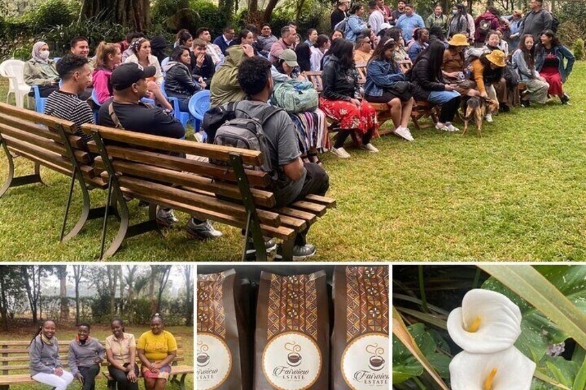 Coffee Farm Village and Factory Half Day Tour with Pick-Up