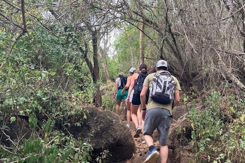 Monkey Mountain Hiking Tour from Sayulita