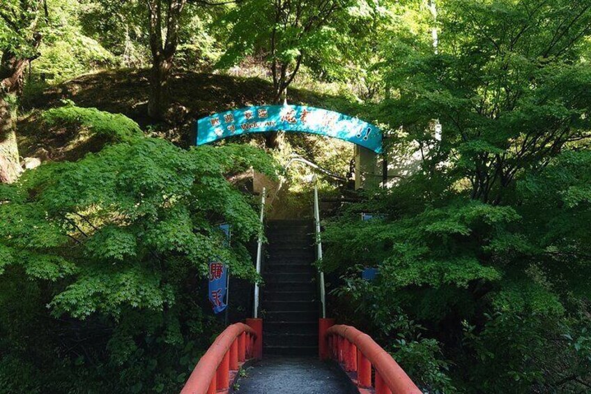 Experience Iwate Hidden Cave