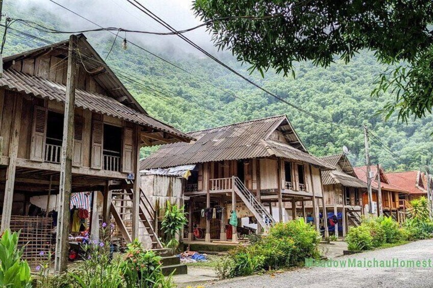 Explore Mai Chau’s Natural Beauty: Full-Day Group Tour