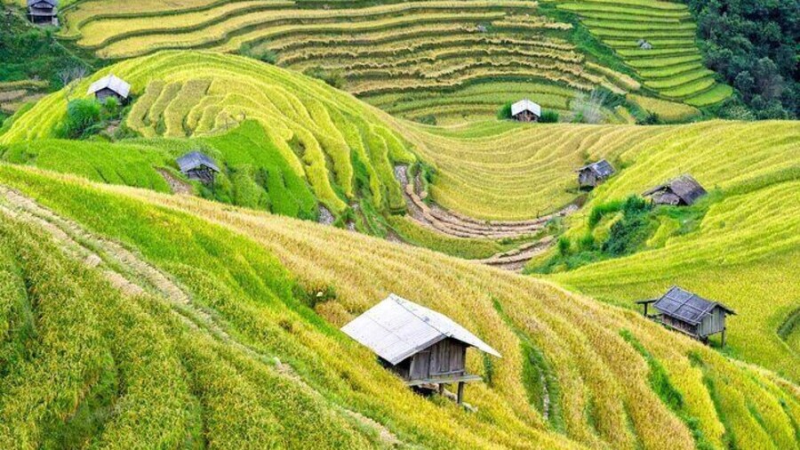 Explore Mai Chau’s Natural Beauty: Full-Day Group Tour