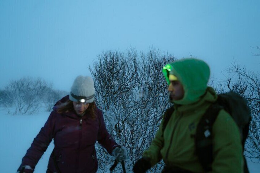 Aurora Snowshoe Hike with Bonfire and Gourmet Picknick