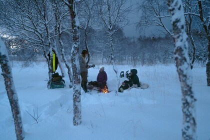 Aurora Snowshoe Hike with Bonfire and Gourmet Picknick