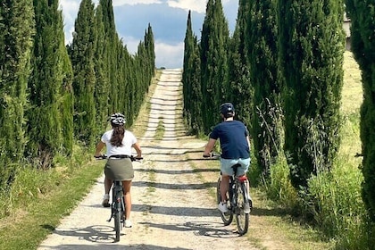 Tuscany e-Bike tour: in Leonardo da Vinci's Land Lunch & Wine