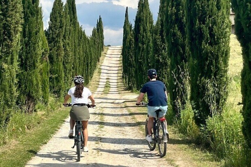 Tuscany on Wheels