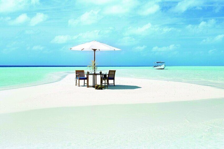 Full day Private Zanzibar Trip Safari Blue (Blue Safari)