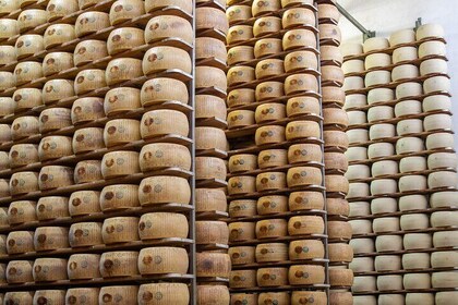 Modena Tasting And Tour附近的帕梅森奶酪工廠