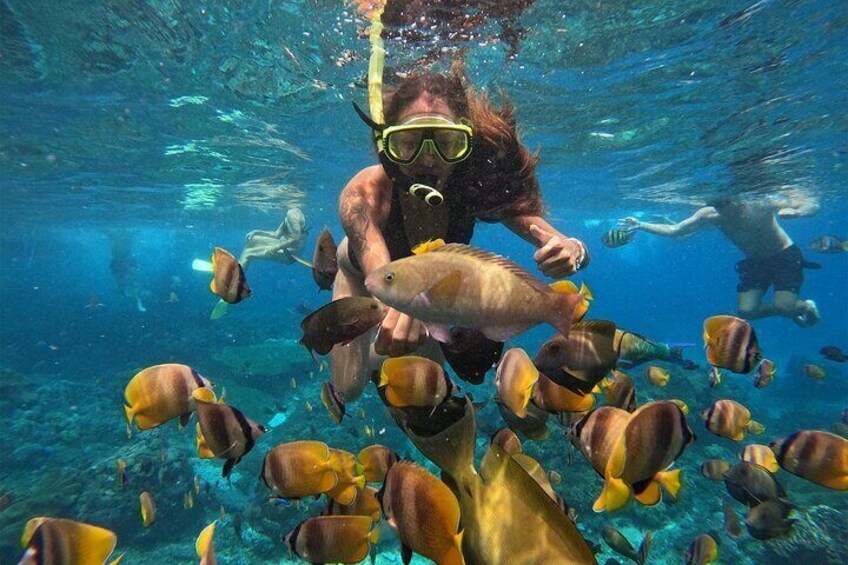 Snorkeling Manta Point in Nusa Penida