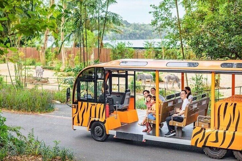 Singapore Zoo Tickets with Tram Ride