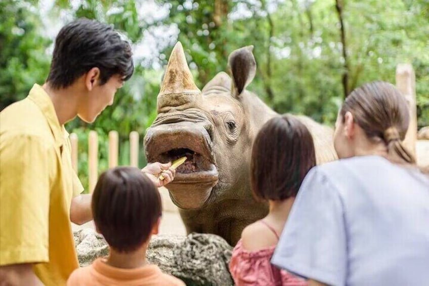 Singapore Zoo Tickets with Tram Ride