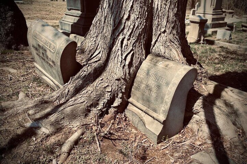 Philadelphia's Forgotten Dead