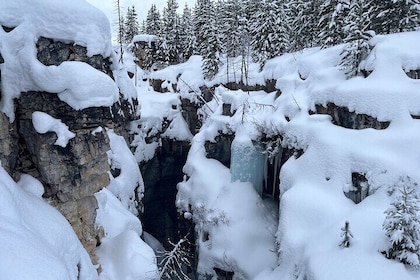 Emerald Lake, Wapta Falls, and Takakkaw Falls Tour in Banff