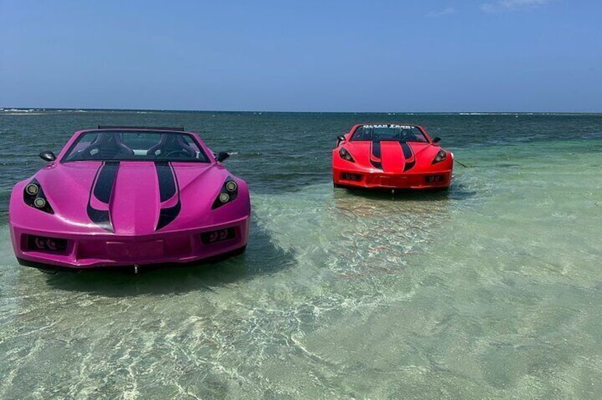 Jet Cars in Montego Bay with Transportation