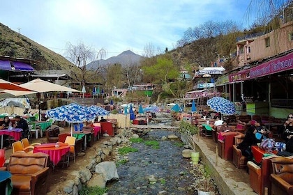 Ourika Day Trip -Ourika Valley Waterfalls -Vallée Ourika Day Trip