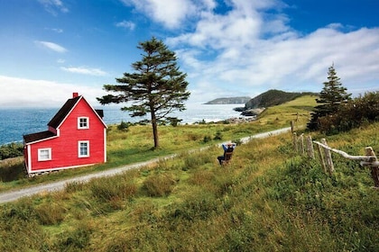 5 Day Eastern Newfoundland Tour