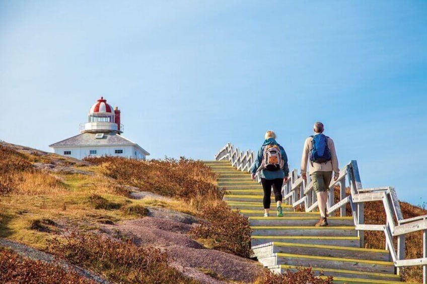 5 Day Eastern Newfoundland Tour