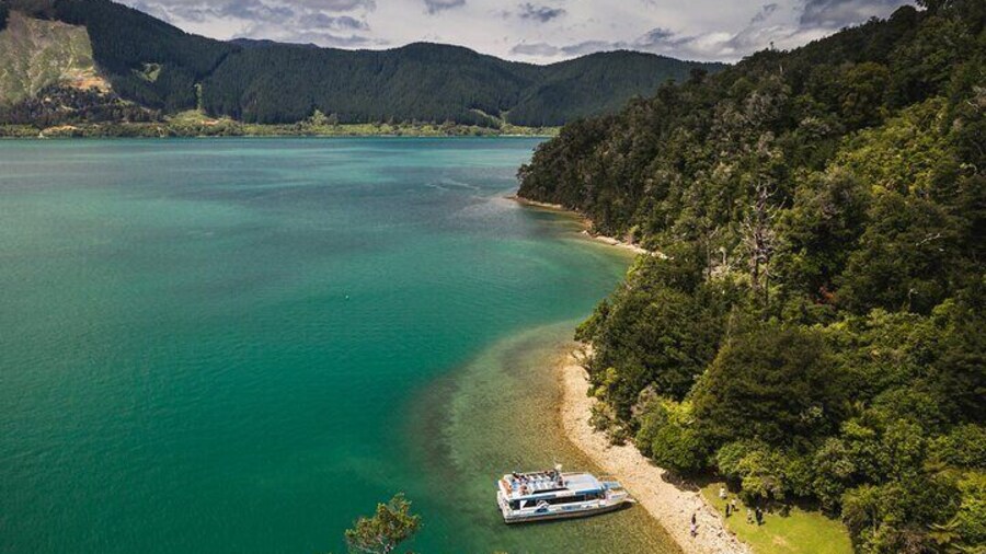 From Havelock to Marlborough Sounds Postie's Day Off Cruise