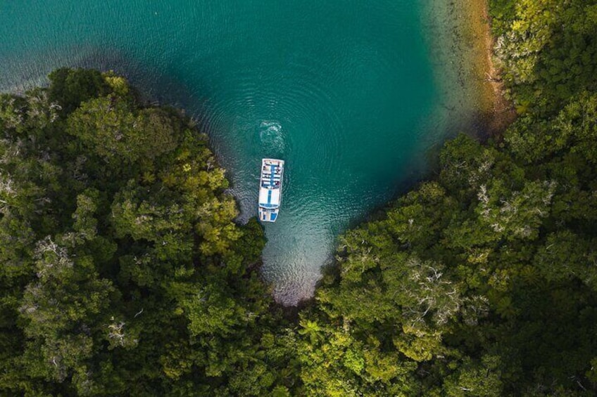 From Havelock to Marlborough Sounds Postie's Day Off Cruise