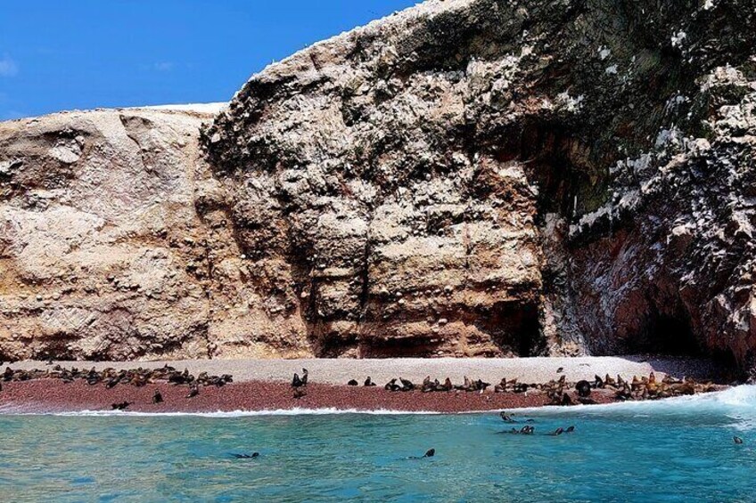 The Maternity Beach on march