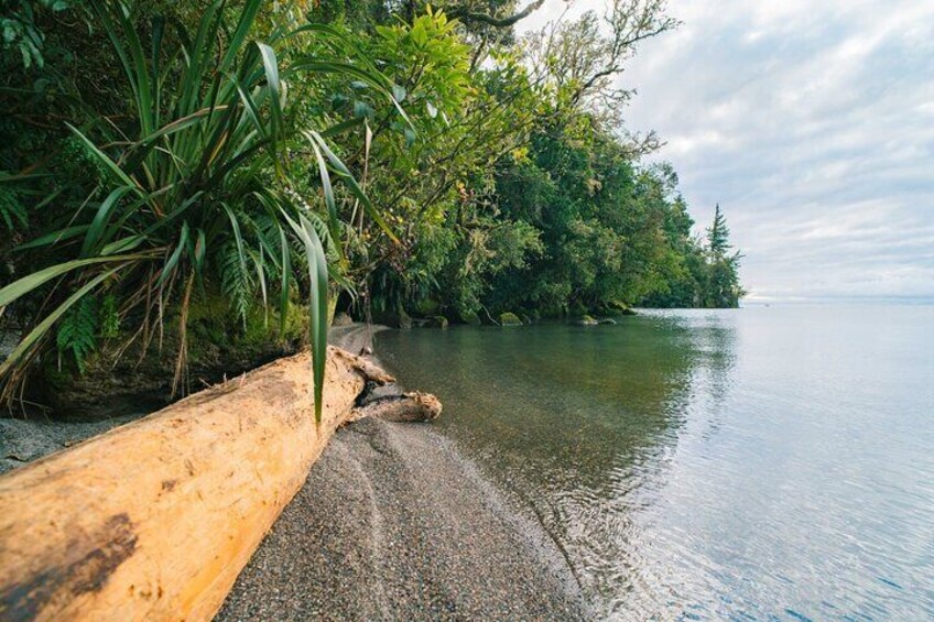 Secluded bay in Waihaha