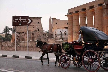 Private Tour of Luxor Horse Carriage City